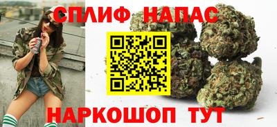 гидра Краснокаменск