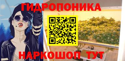 гидра Краснокаменск