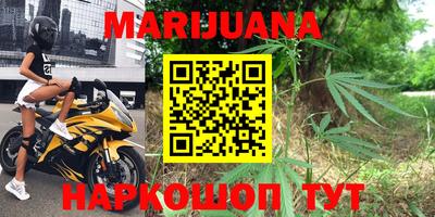 гидра Краснокаменск