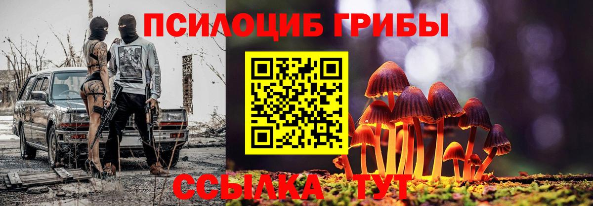 Псилоцибиновые грибы прущие грибы  Вход с VPN  Вичуга  Галлюциногенные грибы мухоморы 