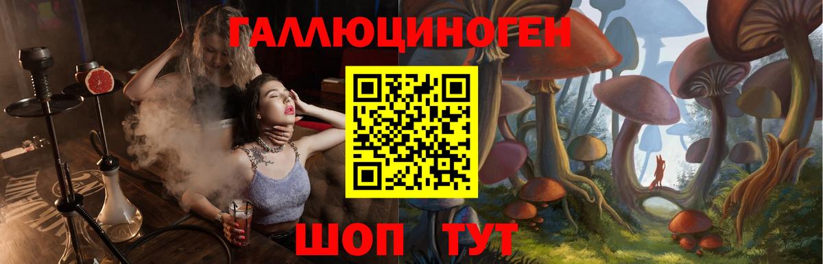 Псилоцибиновые грибы MAGIC MUSHROOMS Вичуга